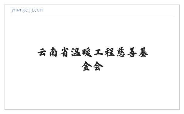 云南省温暖工程慈善基金会 缩略图
